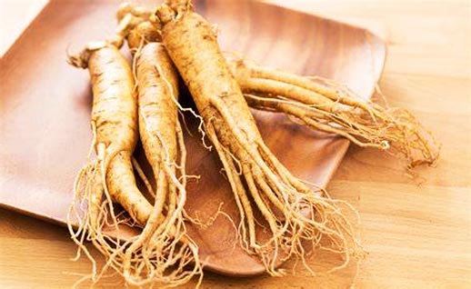 Ginseng Manufacturer