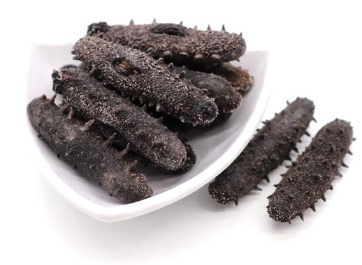 Sea cucumber Manufacturer